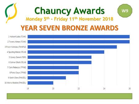 YEAR SEVEN BRONZE AWARDS