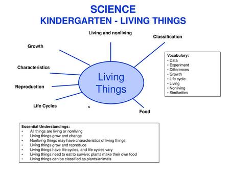 SCIENCE KINDERGARTEN - LIVING THINGS