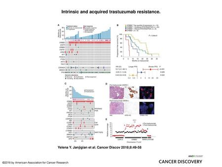 Intrinsic and acquired trastuzumab resistance.