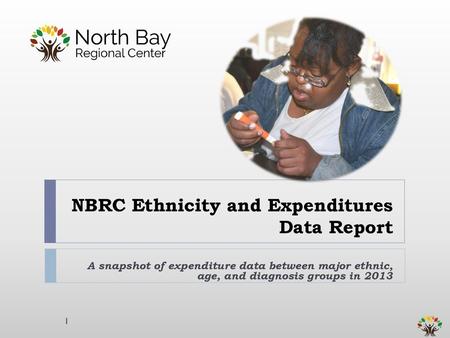 NBRC Ethnicity and Expenditures Data Report