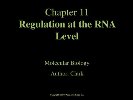 Chapter 11 Regulation at the RNA Level