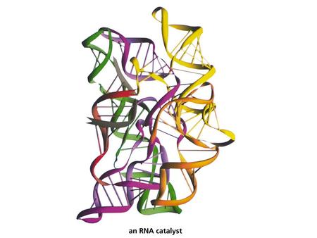 Figure Number: 27-00CO Title:  RNA Catalyst