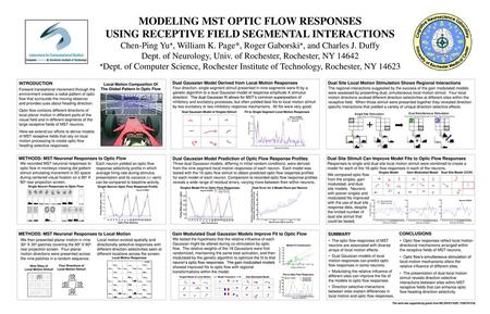 MODELING MST OPTIC FLOW RESPONSES