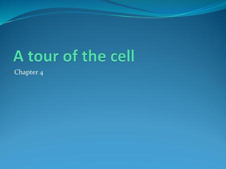 A tour of the cell Chapter 4.