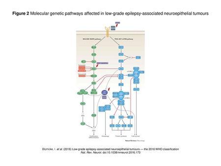 Nat. Rev. Neurol. doi: /nrneurol