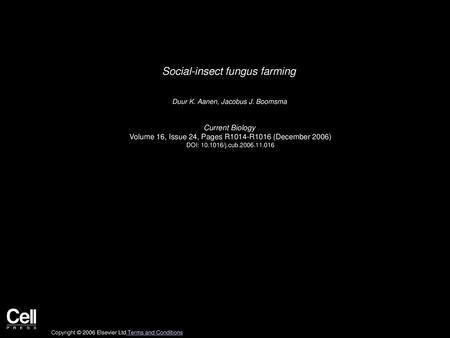 Social-insect fungus farming