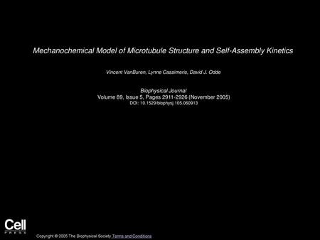 Vincent VanBuren, Lynne Cassimeris, David J. Odde  Biophysical Journal 