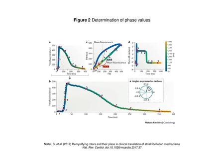 Figure 2 Determination of phase values