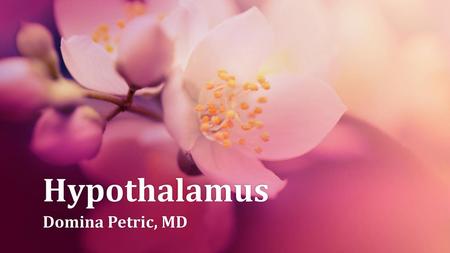 Hypothalamus Domina Petric, MD.