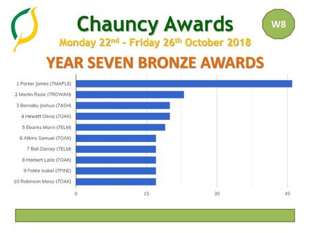 YEAR SEVEN BRONZE AWARDS