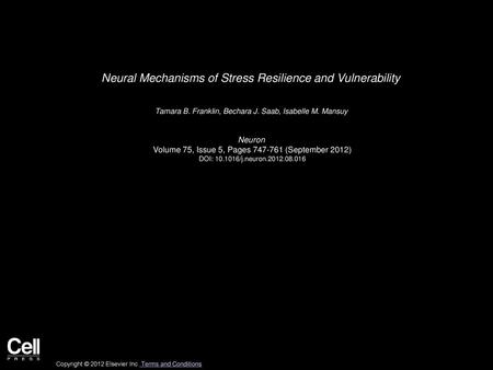 Neural Mechanisms of Stress Resilience and Vulnerability