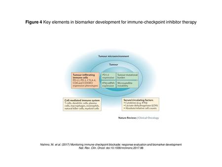 Nat. Rev. Clin. Oncol. doi: /nrclinonc