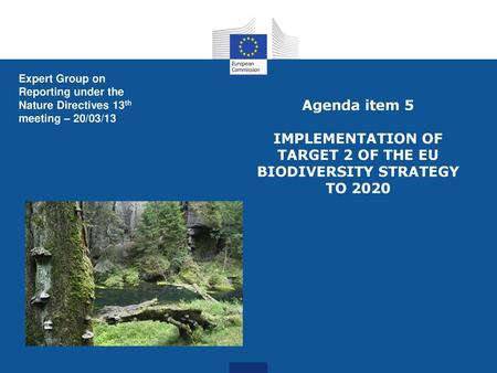 Expert Group on Reporting under the Nature Directives 13th meeting – 20/03/13 Agenda item 5 IMPLEMENTATION OF TARGET 2 OF THE EU BIODIVERSITY STRATEGY.