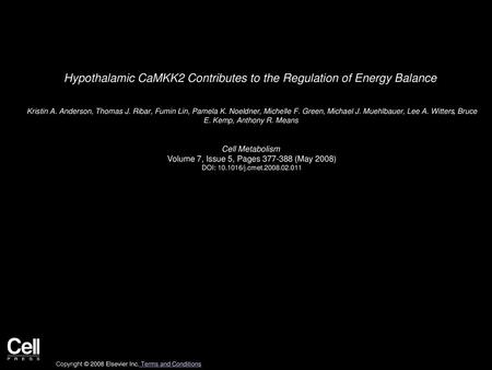 Hypothalamic CaMKK2 Contributes to the Regulation of Energy Balance