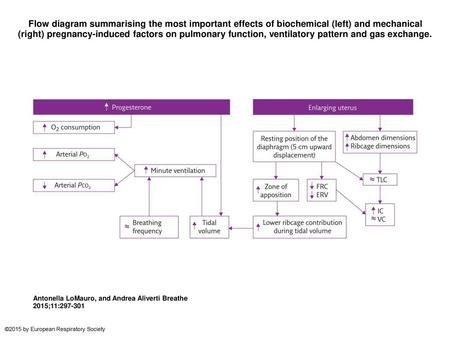 Flow diagram summarising the most important effects of biochemical (left) and mechanical (right) pregnancy-induced factors on pulmonary function, ventilatory.