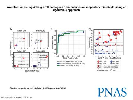 Workflow for distinguishing LRTI pathogens from commensal respiratory microbiota using an algorithmic approach. Workflow for distinguishing LRTI pathogens.