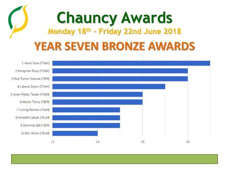 YEAR SEVEN BRONZE AWARDS