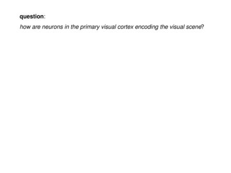 Question: how are neurons in the primary visual cortex encoding the visual scene?