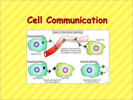 Cell Communication.