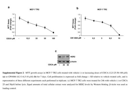 a b MCF-7 TR2 MCF-7 TR2 (Fold change) MTT Assay , (Fold change)