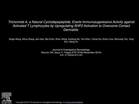 Trichomide A, a Natural Cyclodepsipeptide, Exerts Immunosuppressive Activity against Activated T Lymphocytes by Upregulating SHP2 Activation to Overcome.