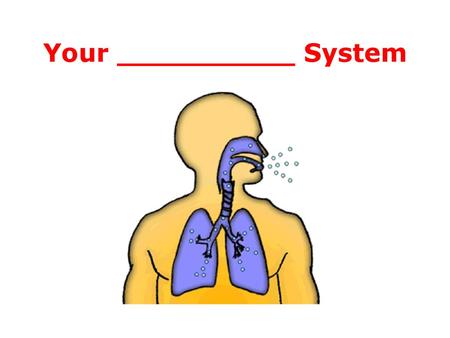 Your __________ System