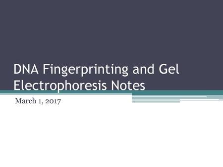 DNA Fingerprinting and Gel Electrophoresis Notes