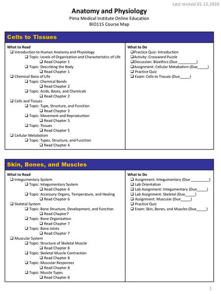 Anatomy and Physiology