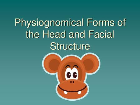 Physiognomical Forms of the Head and Facial Structure