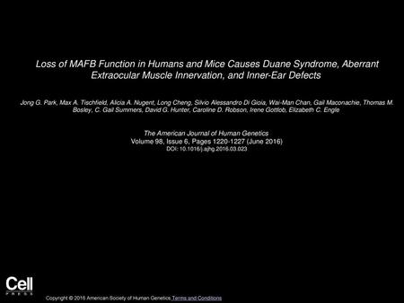 Loss of MAFB Function in Humans and Mice Causes Duane Syndrome, Aberrant Extraocular Muscle Innervation, and Inner-Ear Defects  Jong G. Park, Max A. Tischfield,