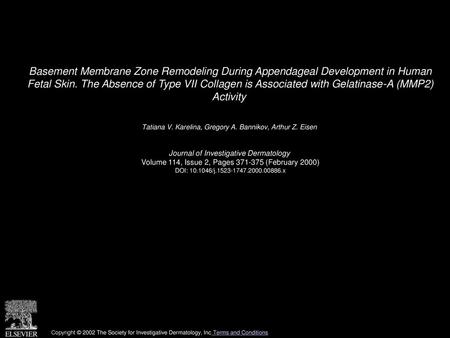 Basement Membrane Zone Remodeling During Appendageal Development in Human Fetal Skin. The Absence of Type VII Collagen is Associated with Gelatinase-A.