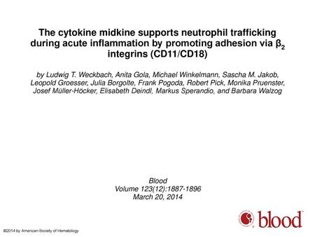 The cytokine midkine supports neutrophil trafficking during acute inflammation by promoting adhesion via β2 integrins (CD11/CD18)‏ by Ludwig T. Weckbach,