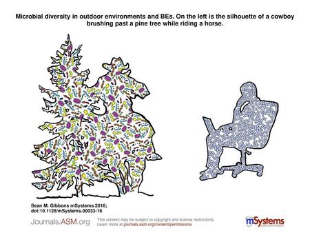 Microbial diversity in outdoor environments and BEs