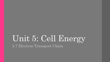 5.7 Electron Transport Chain