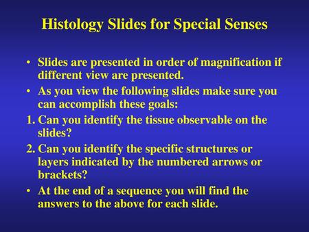 Histology Slides for Special Senses