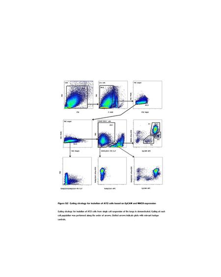 Figure S2 Gating strategy of AT2 cells based on EpCAM and MHCII