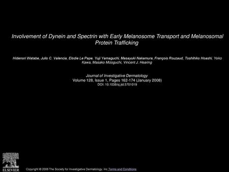 Involvement of Dynein and Spectrin with Early Melanosome Transport and Melanosomal Protein Trafficking  Hidenori Watabe, Julio C. Valencia, Elodie Le.