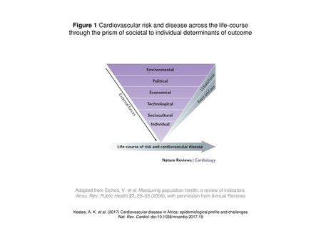 Figure 1 Cardiovascular risk and disease across the life-course