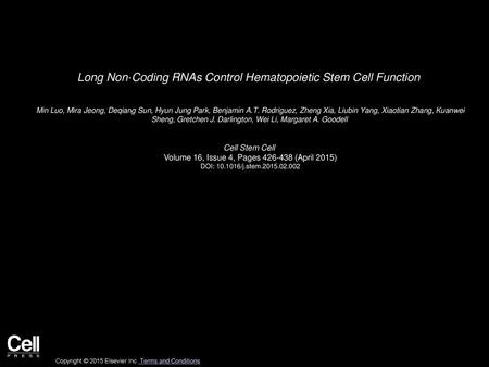 Long Non-Coding RNAs Control Hematopoietic Stem Cell Function