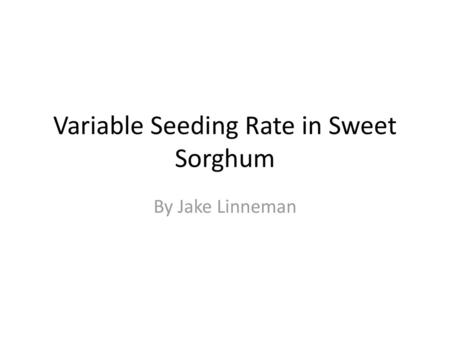 Variable Seeding Rate in Sweet Sorghum