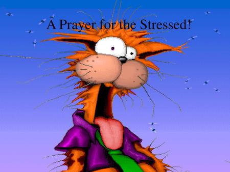 A Prayer for the Stressed!