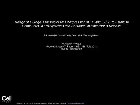 Design of a Single AAV Vector for Coexpression of TH and GCH1 to Establish Continuous DOPA Synthesis in a Rat Model of Parkinson's Disease  Erik Cederfjäll,