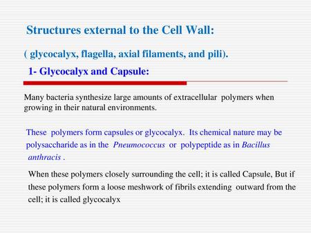 Structures external to the Cell Wall: