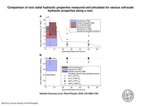 Comparison of root radial hydraulic properties measured and simulated for various cell-scale hydraulic properties along a root. Comparison of root radial.