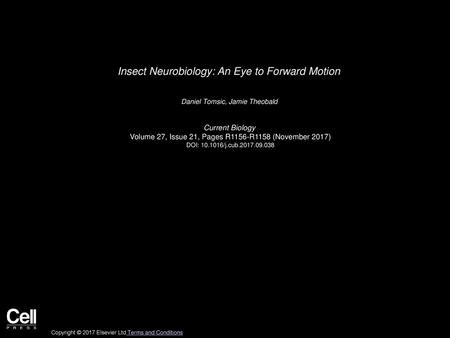 Insect Neurobiology: An Eye to Forward Motion