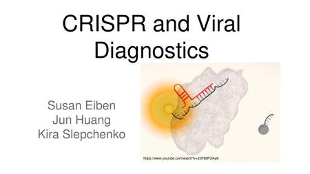 CRISPR and Viral Diagnostics