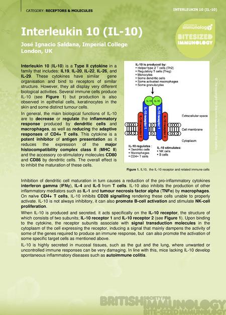 INTERLEUKIN 10 (IL-10) CATEGORY: RECEPTORS & MOLECULES