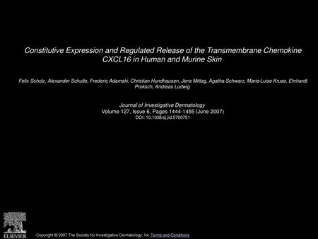 Constitutive Expression and Regulated Release of the Transmembrane Chemokine CXCL16 in Human and Murine Skin  Felix Scholz, Alexander Schulte, Frederic.