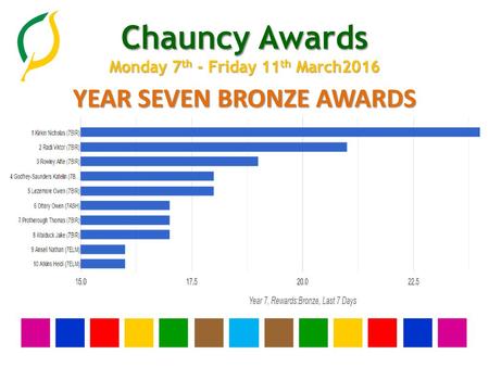 YEAR SEVEN BRONZE AWARDS