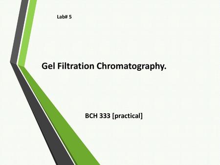 Gel Filtration Chromatography.